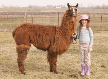 J-Lo, Truffles first cria